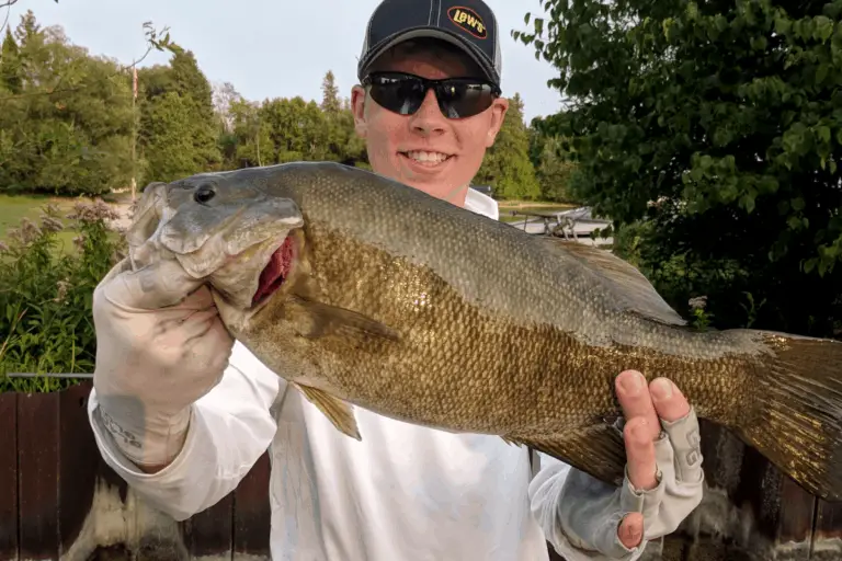 Bass and Current – The Bass Fishing Life