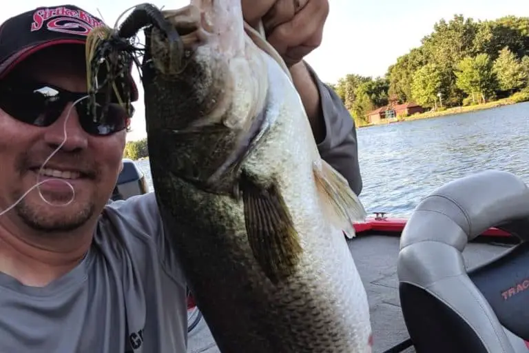 Why do Jigs Catch Big Bass – Two Factors Stand Out – The Bass Fishing Life