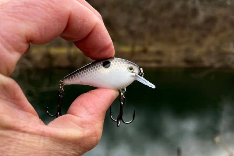 When and Where Small Crankbaits Excel – Look for This – The Bass ...